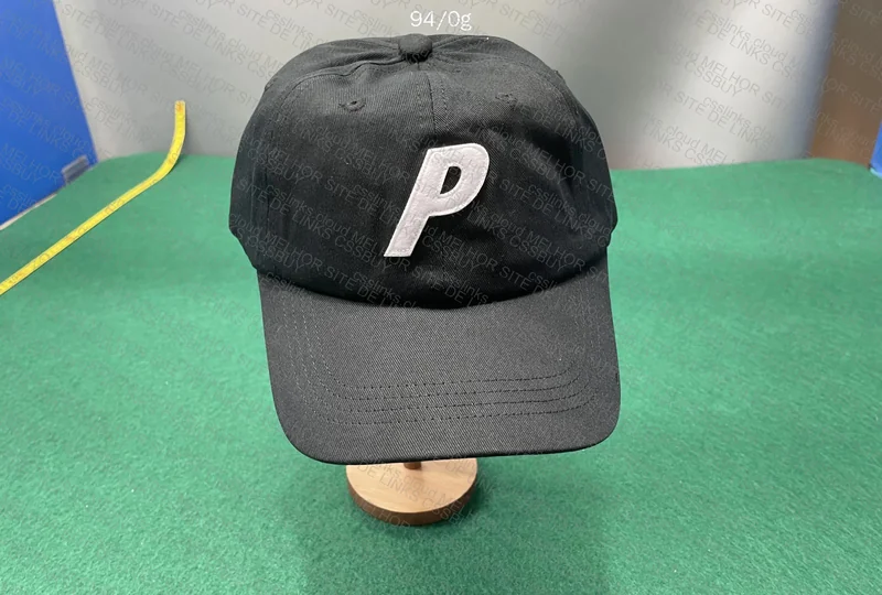Palace 6 Panel Cap 3
