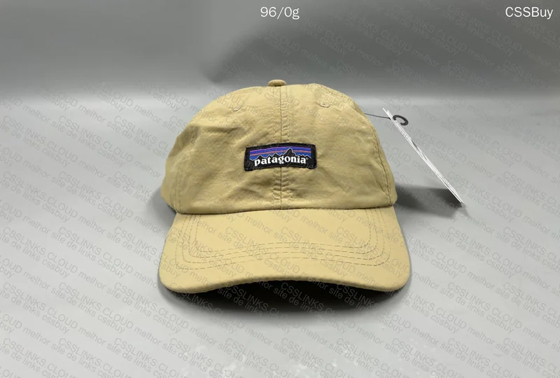 Patagonia Cap