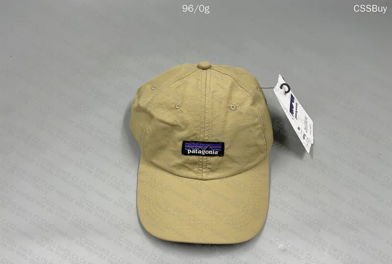 Patagonia Cap 2