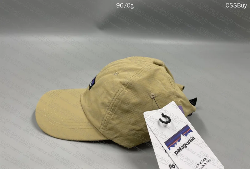 Patagonia Cap 4