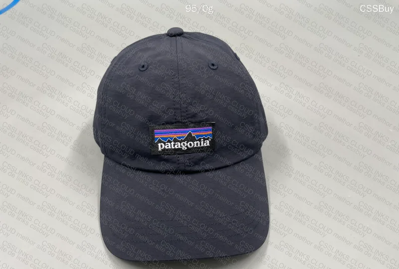 Patagonia Cap 6