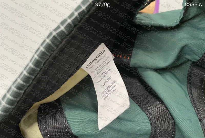 Patagonia Cap 3
