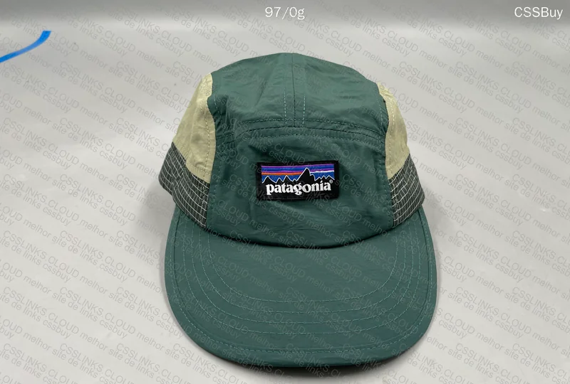 Patagonia Cap 4