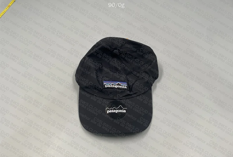 Patagonia Cap
