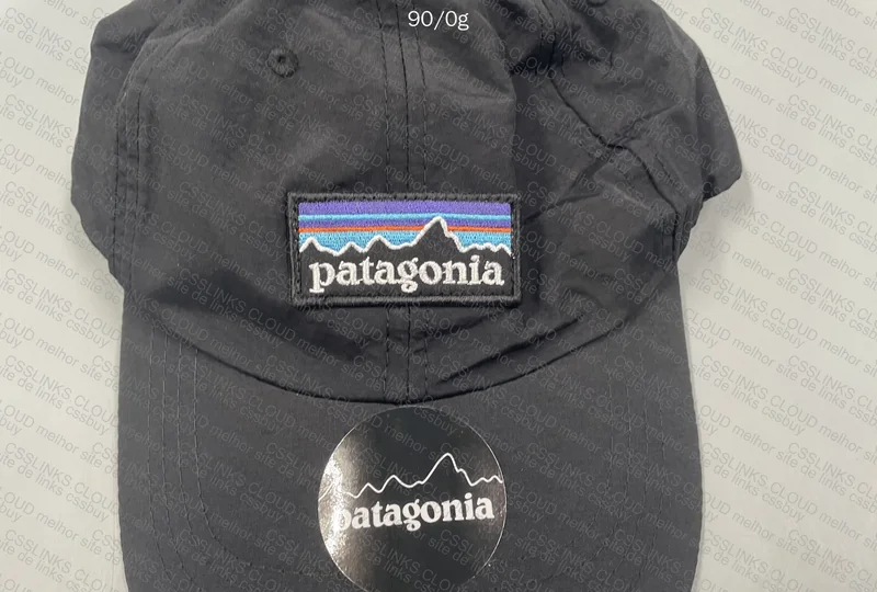 Patagonia Cap 2