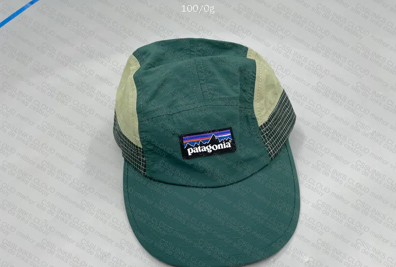 Patagonia Cap 2