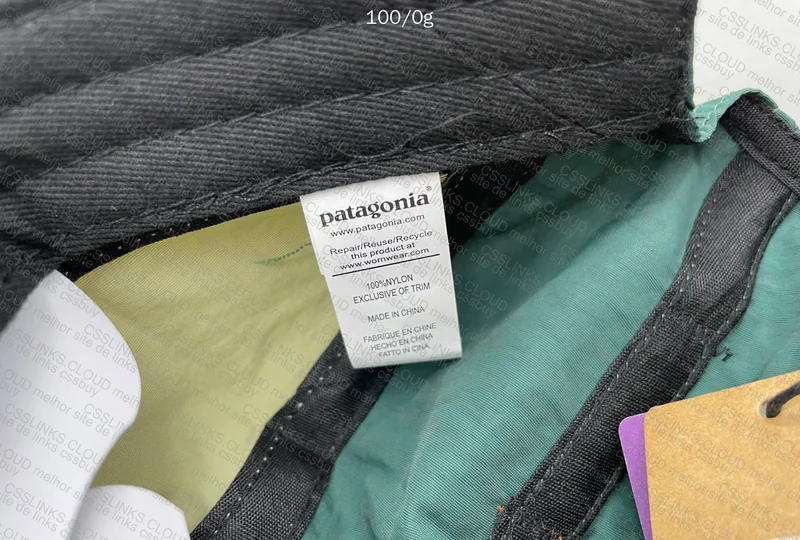 Patagonia Cap 4