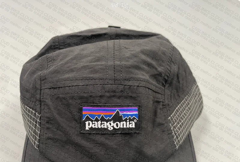 Patagonia Cap 2