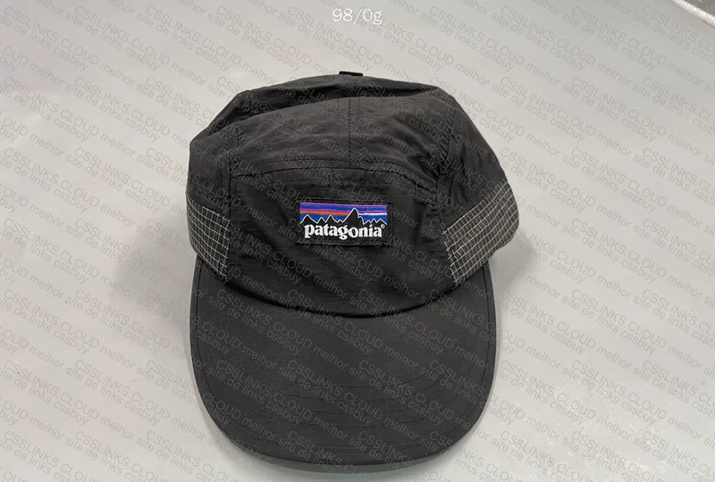 Patagonia Cap 4