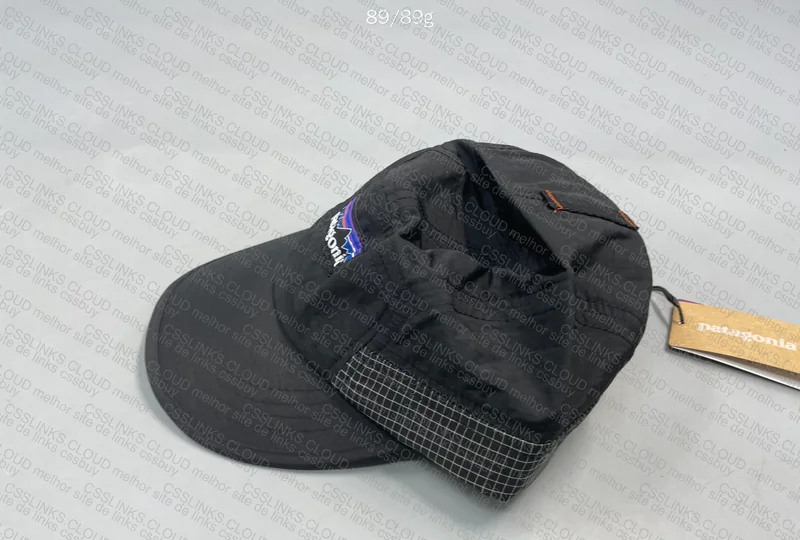 Patagonia Cap