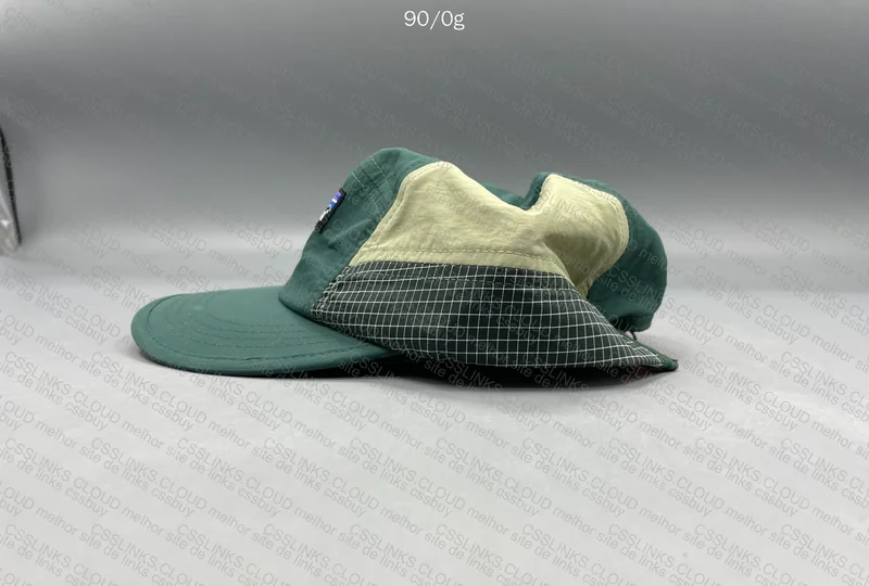 Patagonia Cap 2
