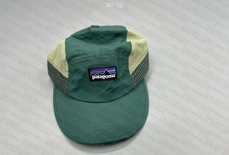 Patagonia Cap 3