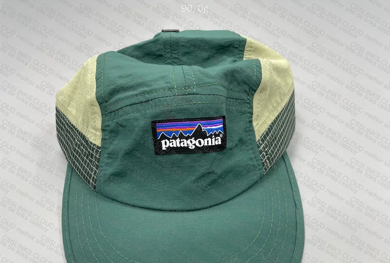 Patagonia Cap 5