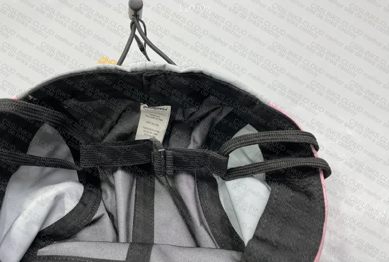Patagonia Cap 2