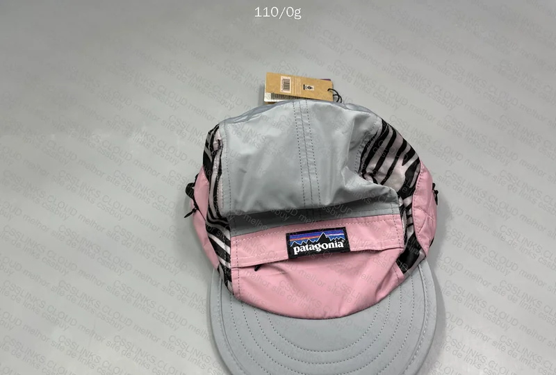 Patagonia Cap 3