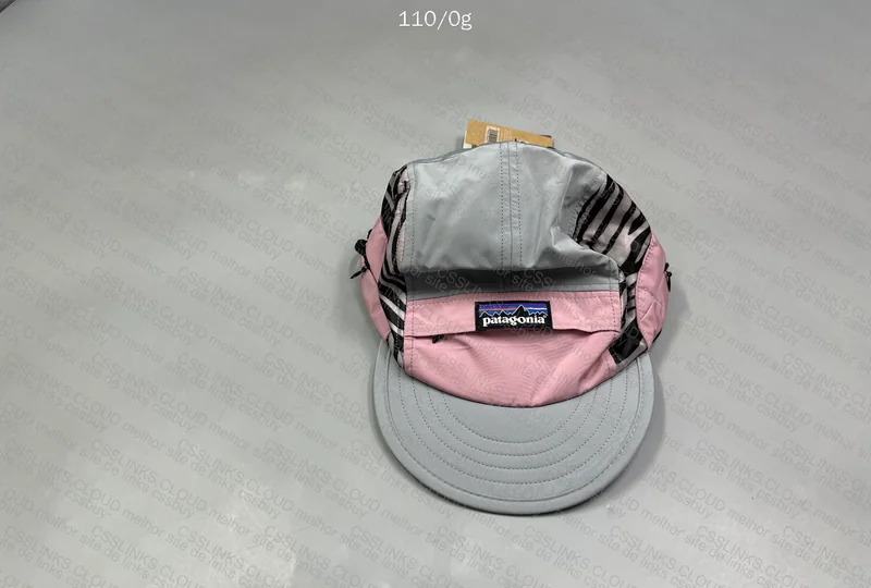 Patagonia Cap 4