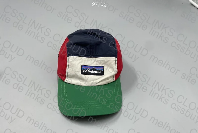 Patagonia Cap