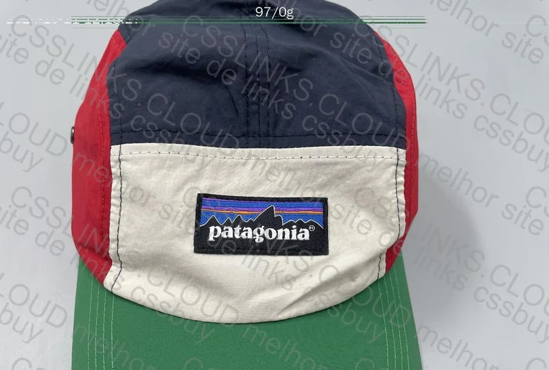 Patagonia Cap 2