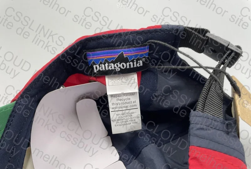 Patagonia Cap 4