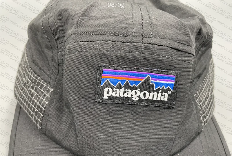 Patagonia Cap