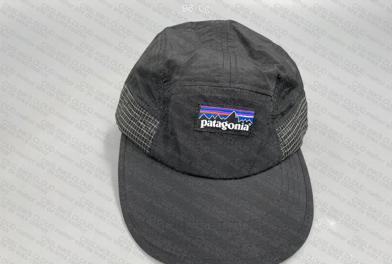 Patagonia Cap 4