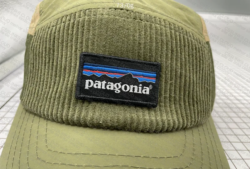 Patagonia Cap