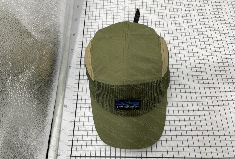 Patagonia Cap 4