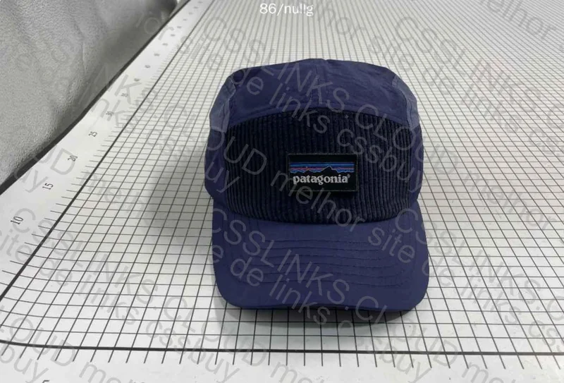 Patagonia Cap
