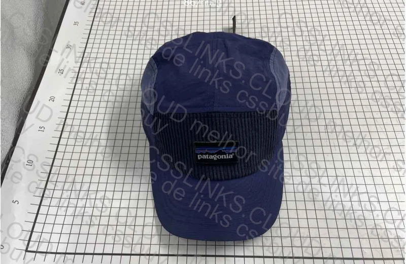 Patagonia Cap 2