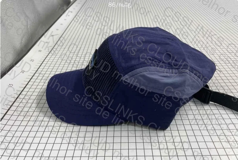 Patagonia Cap 3