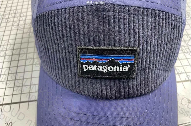 Patagonia Cap 6