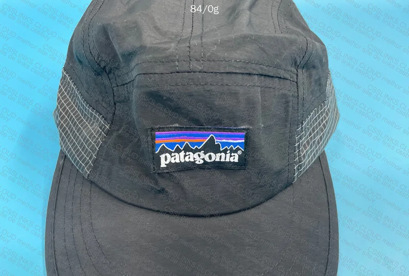 Patagonia Cap 3