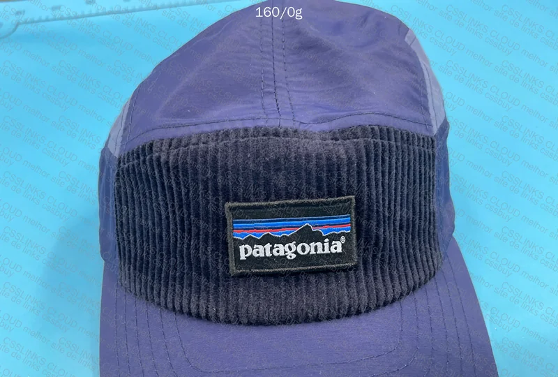 Patagonia Cap