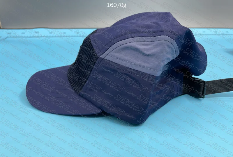 Patagonia Cap 2