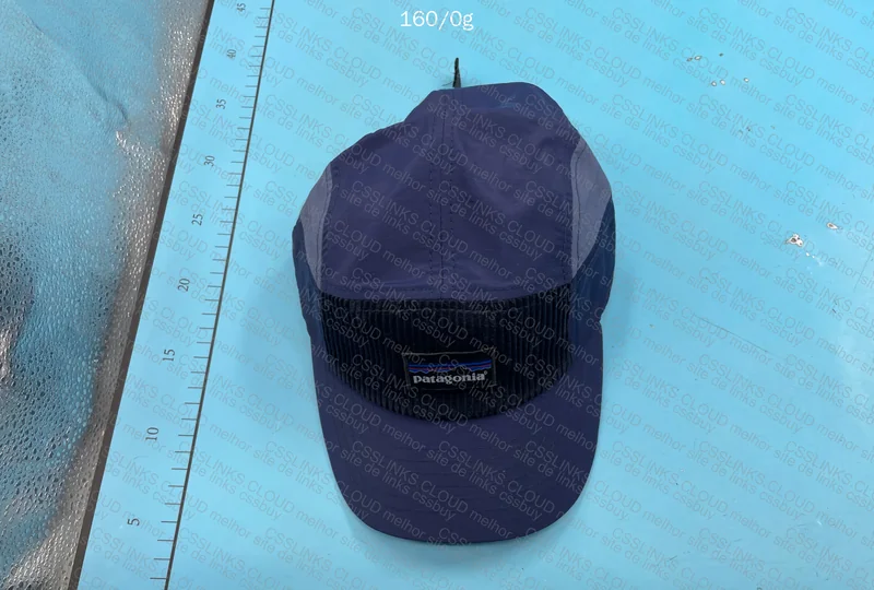 Patagonia Cap 4