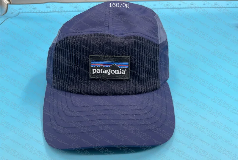 Patagonia Cap 5