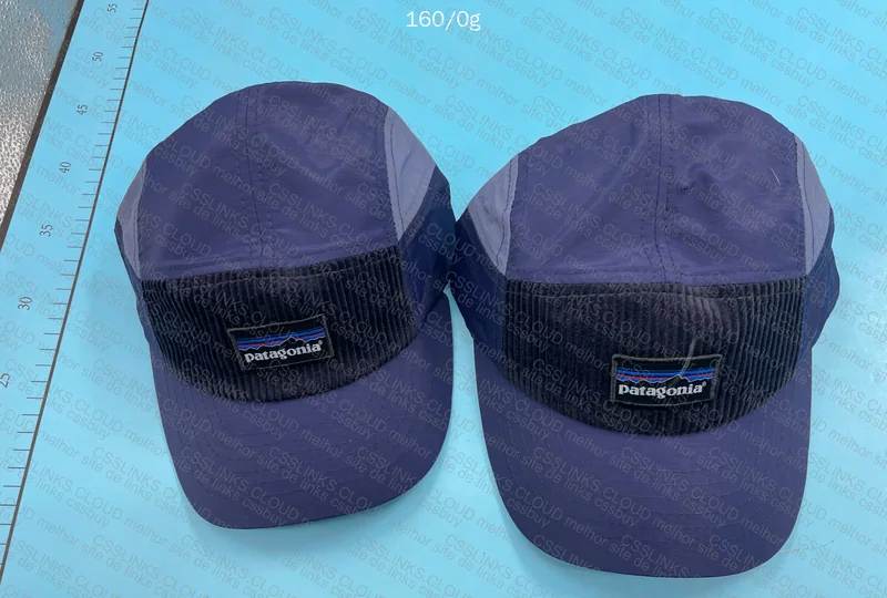 Patagonia Cap 7