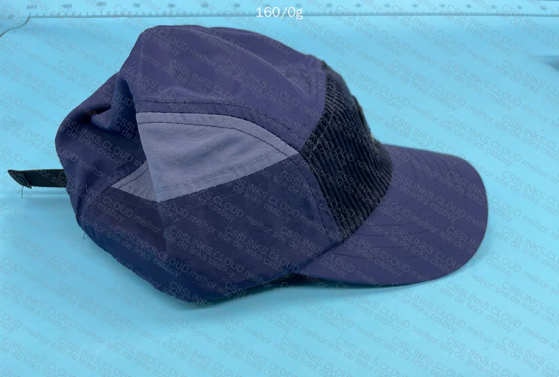 Patagonia Cap 8