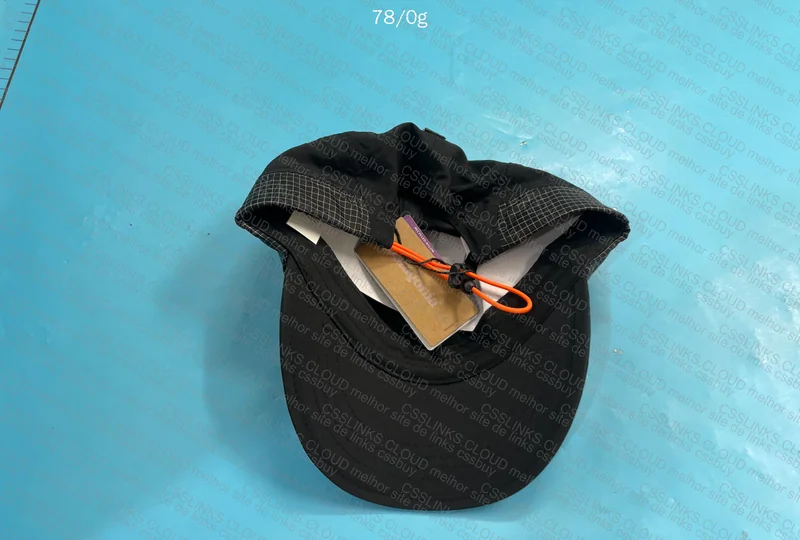 Patagonia Cap