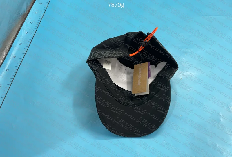 Patagonia Cap 2