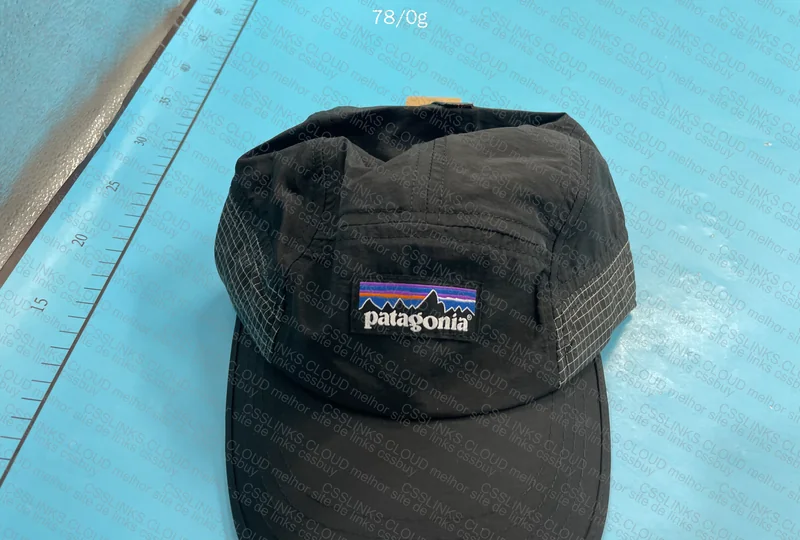 Patagonia Cap 4