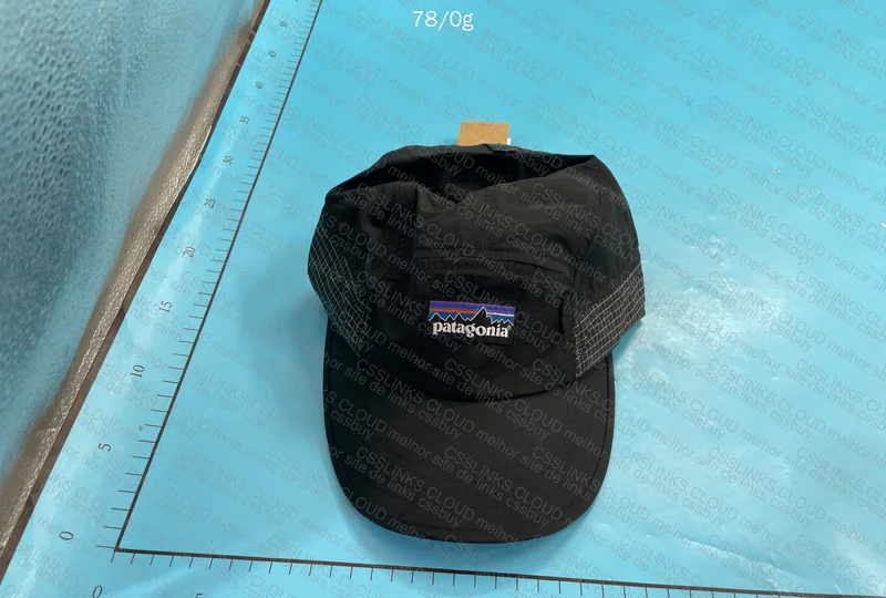 Patagonia Cap 5