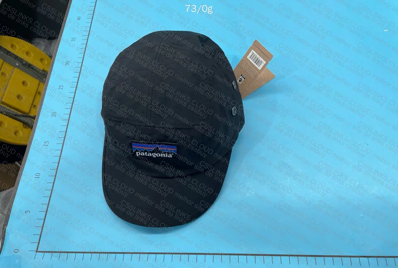 Patagonia Cap
