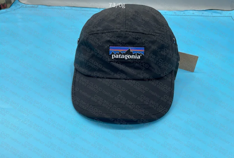 Patagonia Cap 2