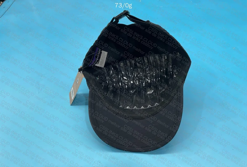 Patagonia Cap 5