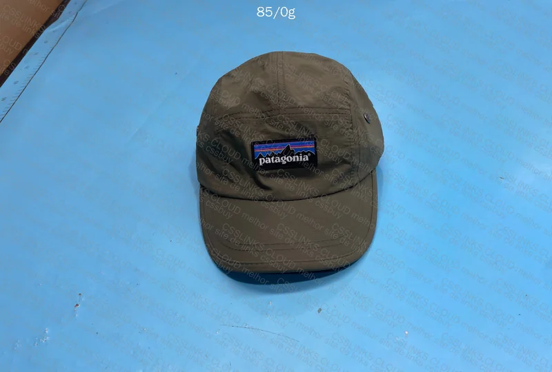 Patagonia Cap