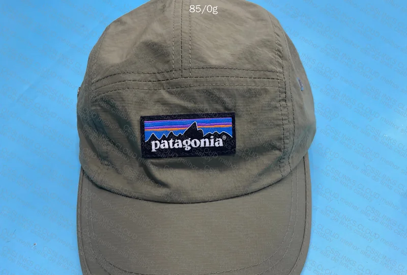 Patagonia Cap 2