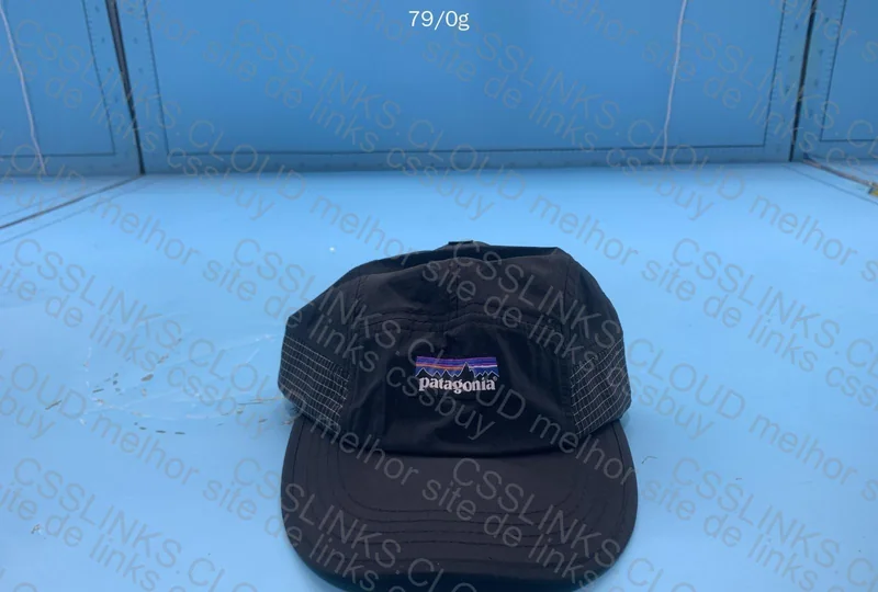 Patagonia Cap