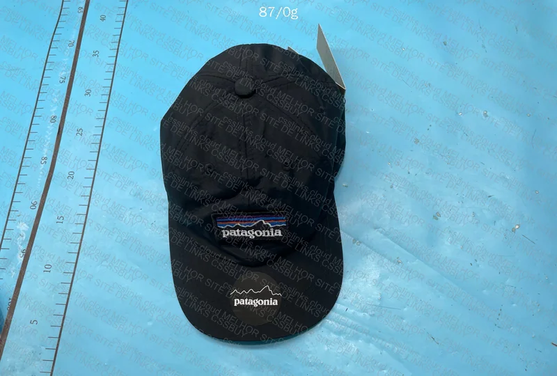 Patagonia Cap