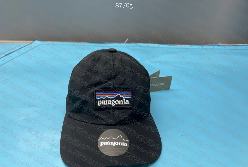 Patagonia Cap 3